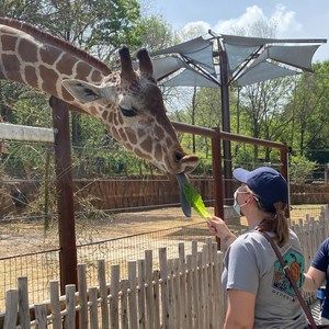 Meet your Posher, Samantha